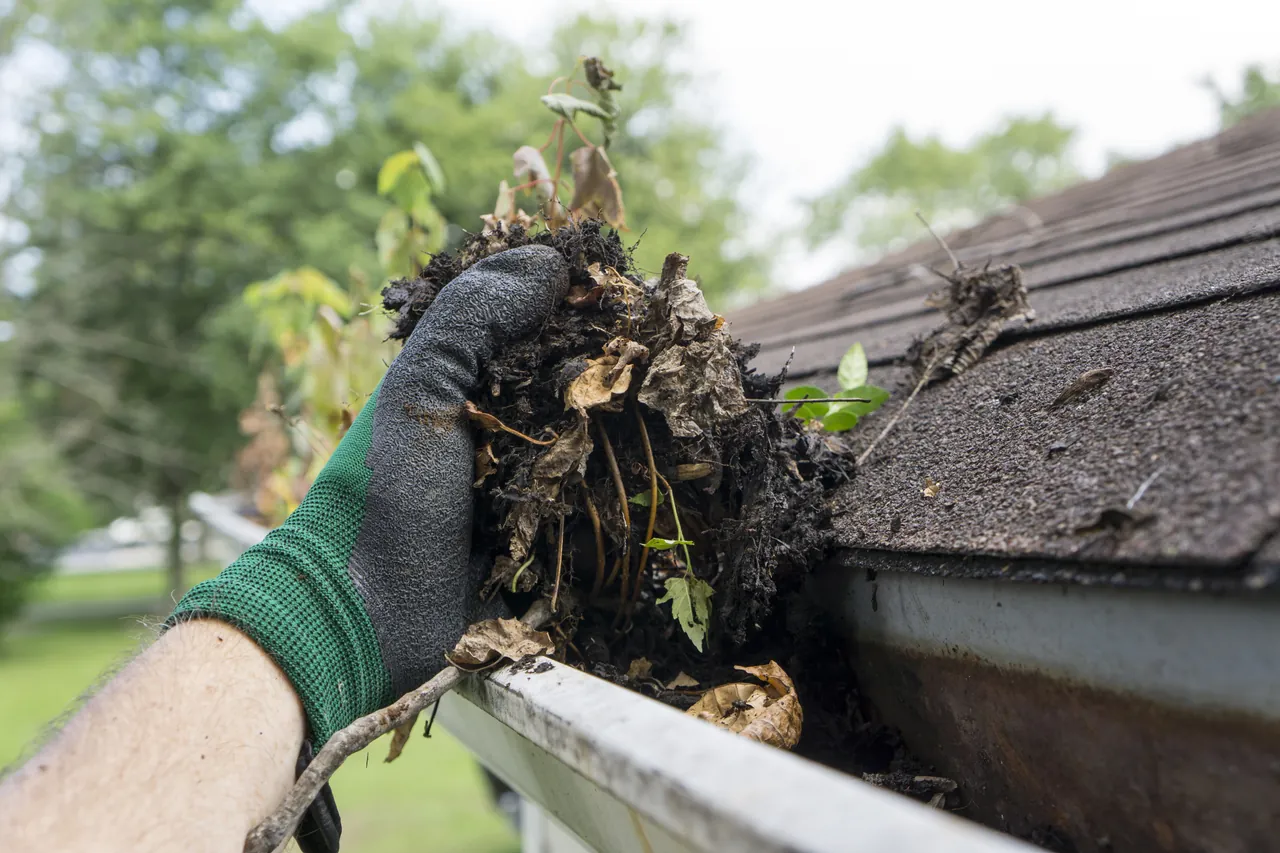 Commercial Gutter Cleaning by Colonel Zips